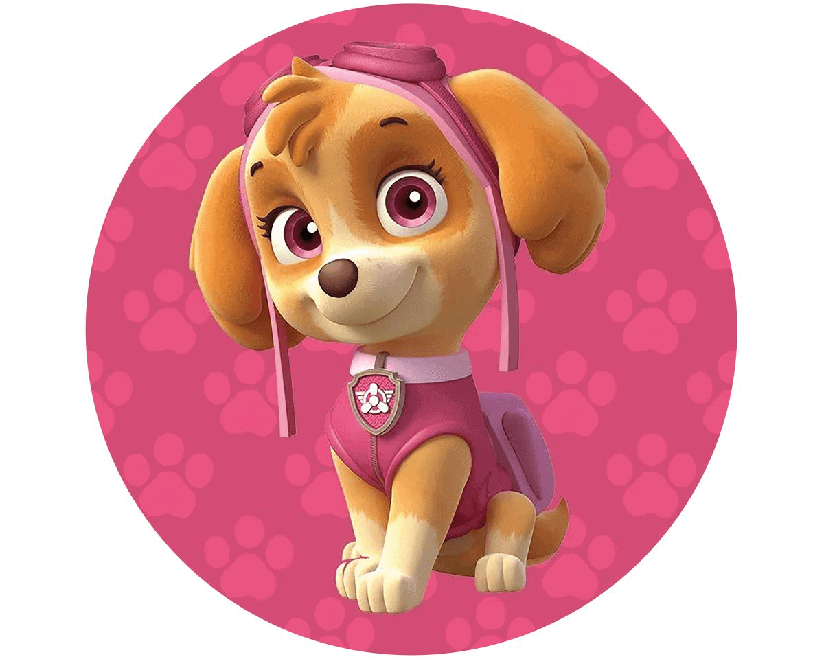 Sød pigenøgle hundehund fra Paw Patrol på cirkulært baggrundsdesign.