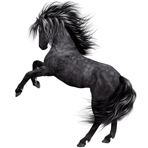 Hest i bevægelse, sort og hvid illustration, dynamisk og kraftfuld.